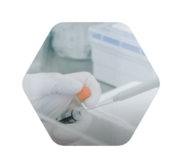 Was kann der Darmflora-Test INTEST.pro von BIOMES?